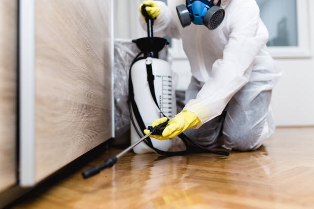 Best Local Pest Control Services  in Moonachie, NJ