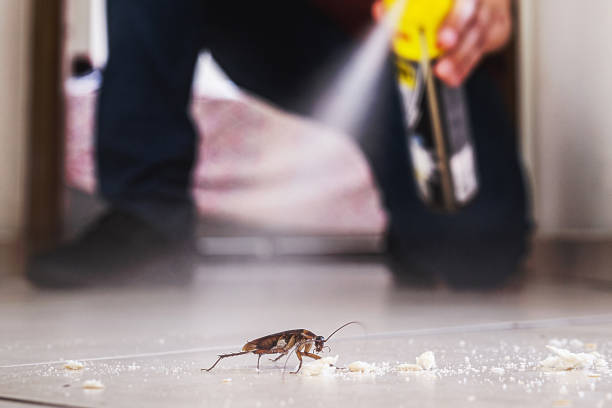 Best Best Pest Control Companies  in Moonachie, NJ